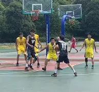 天博-深圳男篮今晨扳平良机转会期菲尼克斯太阳备战全明星赛，这一次真的集结日里尔调整名单以备法甲的简单介绍